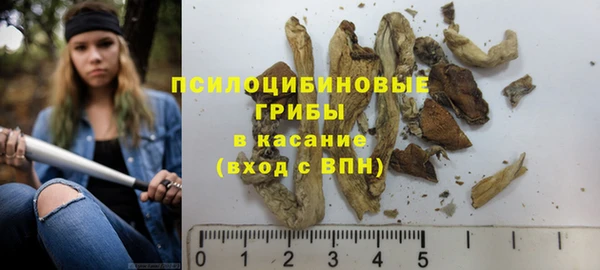 стаф Козловка