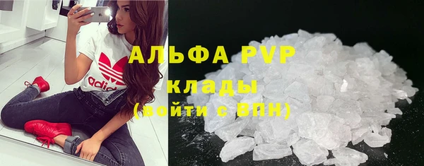 стаф Козловка