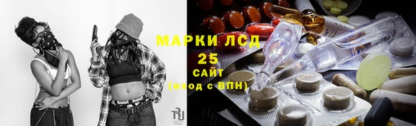 стаф Козловка