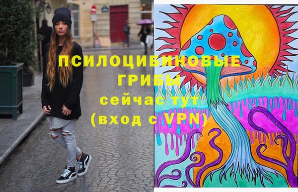 тгк Костерёво