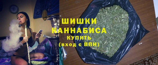 ПСИЛОЦИБИНОВЫЕ ГРИБЫ Козельск