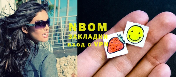 сатива Карпинск