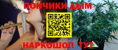 индика Кимры