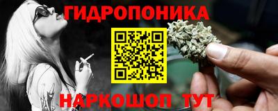индика Кимры