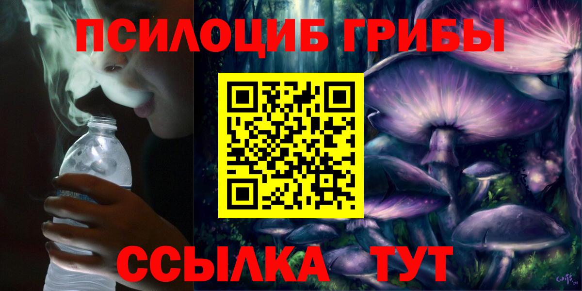 Псилоцибиновые грибы MAGIC MUSHROOMS  Вход с VPN  Михайловка 
